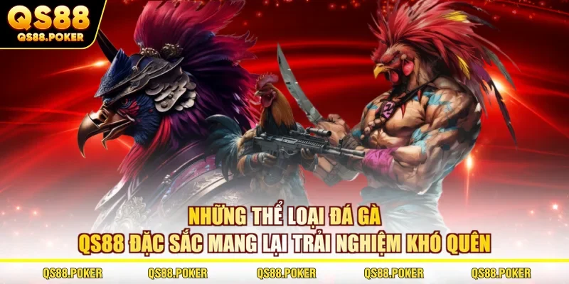 Những thể loại đá gà QS88 đặc sắc mang lại trải nghiệm khó quên 