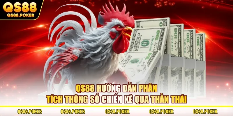 QS88 hướng dẫn phân tích thông số chiến kê qua thần thái